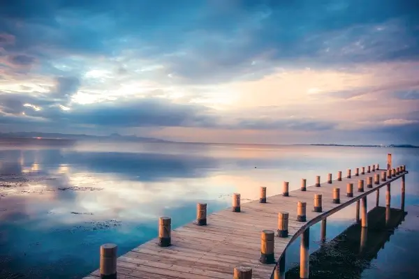 23.海底世界教材解读