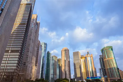 紫涩蓝莓什么含义