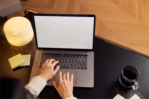 随风去有什么含义