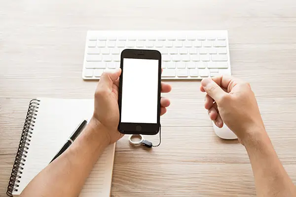 柏林含义是什么呢